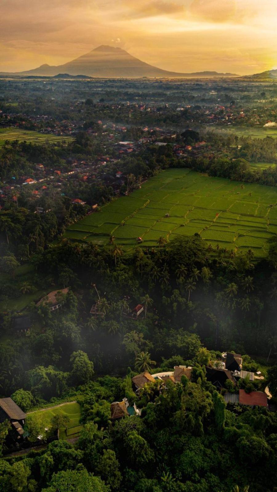 Villa Cella Bella Ubud מראה חיצוני תמונה